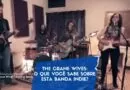 The Crane Wives: O que você sabe sobre esta banda indie?