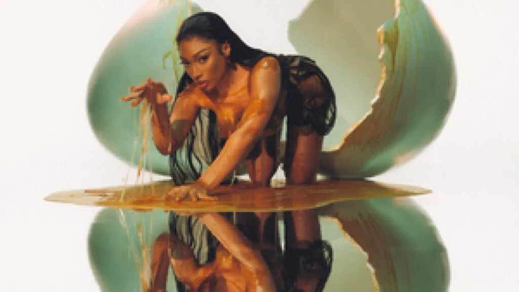 Megan Thee Stallion - Rádio Social Plus Brasil