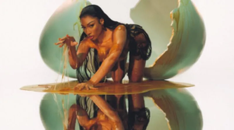 Megan Thee Stallion - Rádio Social Plus Brasil