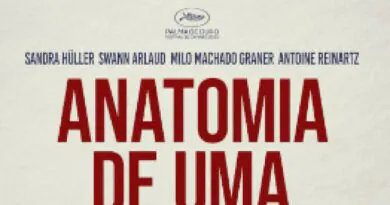 Cena de Anatomia de uma Queda - Reprodução/Divulgação