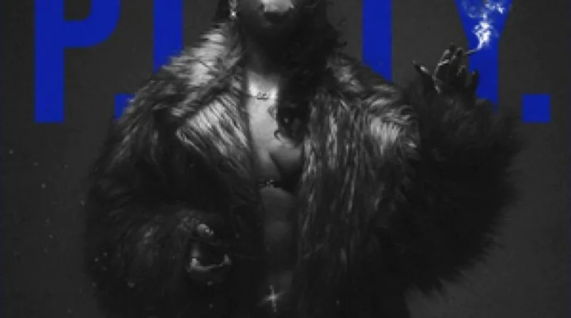 NandaTsunami - Rádio Social Plus Brasil