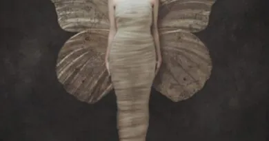 AURORA - Rádio Social Plus Brasil