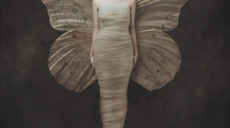 AURORA - Rádio Social Plus Brasil