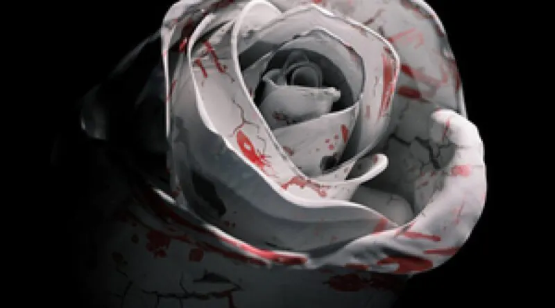 D4vd - Rádio Social Plus Brasil