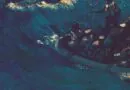 The Avalanches - Rádio Social Plus Brasil