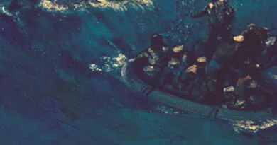 The Avalanches - Rádio Social Plus Brasil
