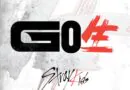 Stray Kids Conquista o Topo da Billboard com THIS & THAT
