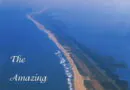 Outer Banks: O impacto emocionante da 5ª temporada e o destino de seus personagens
