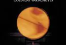 Novo Álbum de Coldplay Agitado no Cenário do Rock