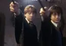 Harry Potter: A Magia por Trás da Nova Escolha para o Papel de Dobby