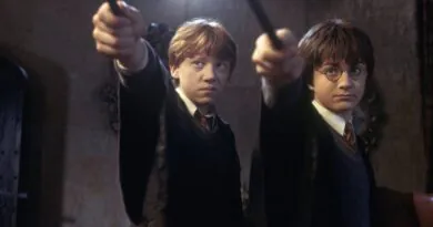 Harry Potter: A Magia por Trás da Nova Escolha para o Papel de Dobby